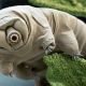 Op microsafari met G1A